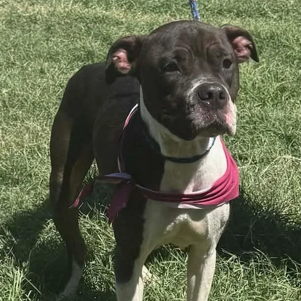 Lily Mae thumbnail 2