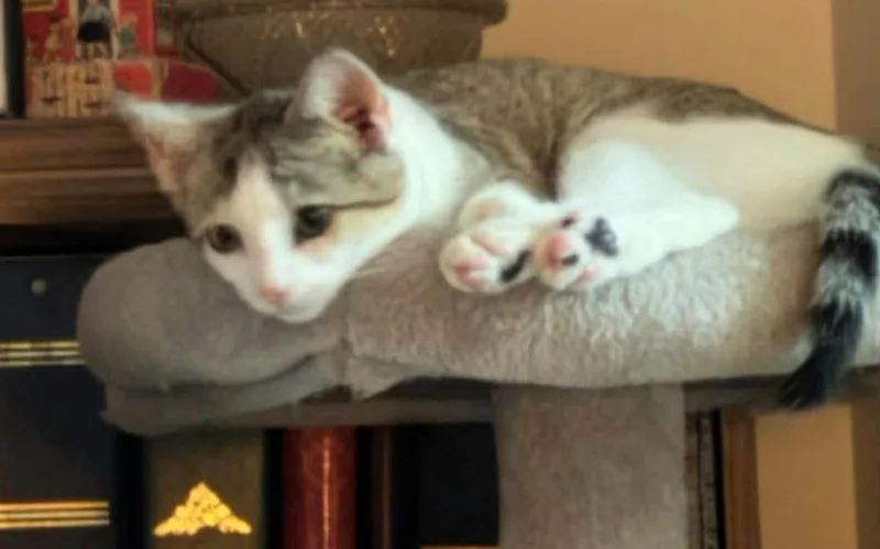 Bobbie thumbnail 2