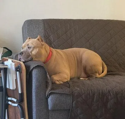 Meatball thumbnail 3