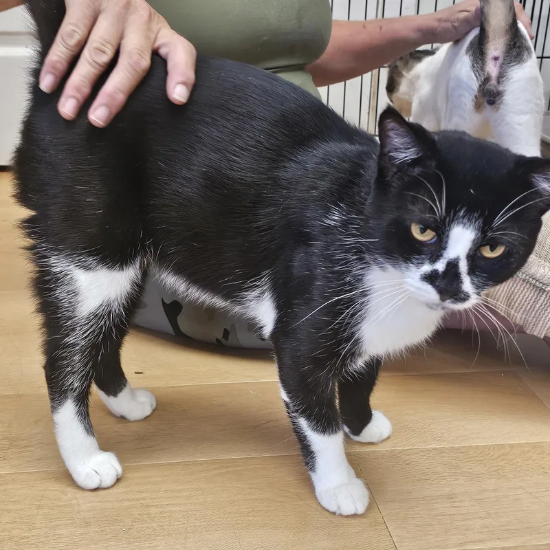 Tennessee thumbnail 2