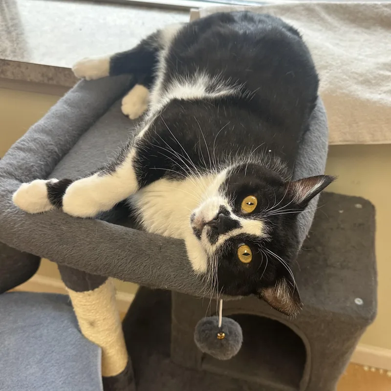 Tennessee thumbnail 3