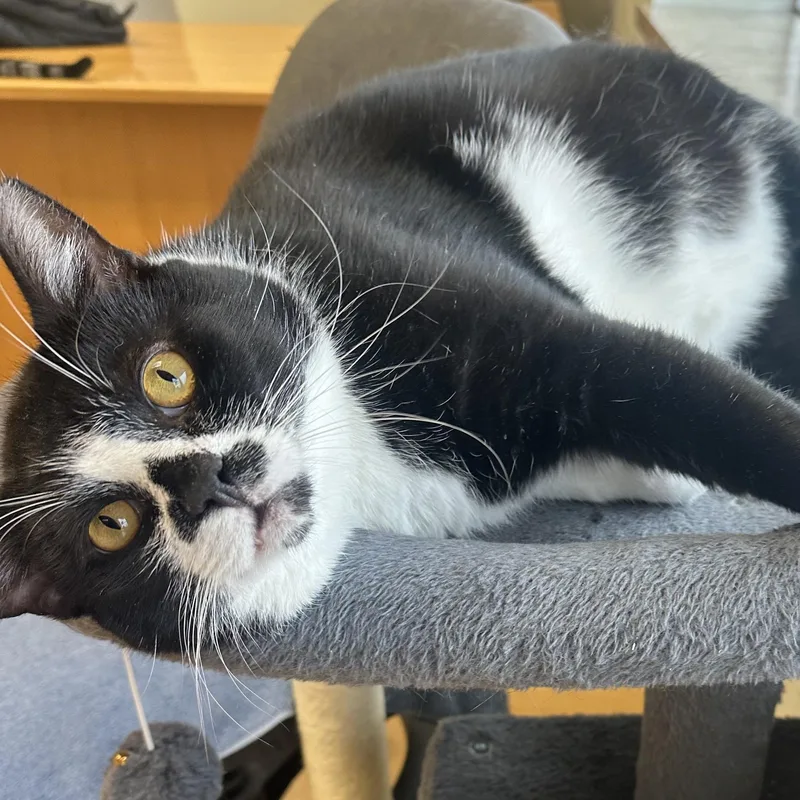 Tennessee thumbnail 4