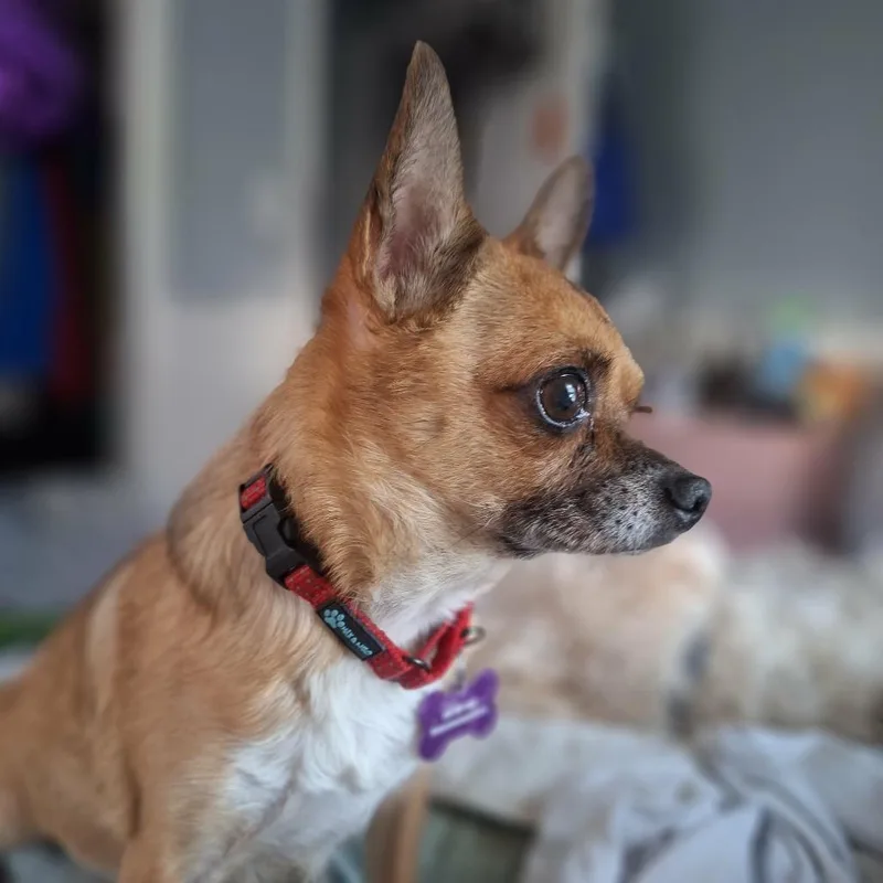 Guy Furrieri thumbnail 4