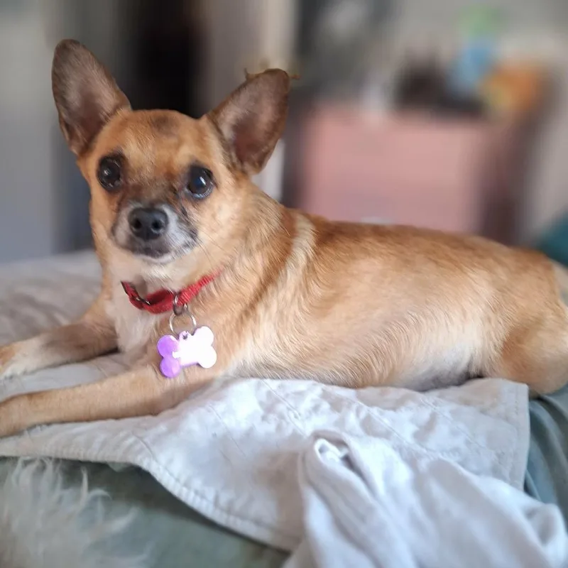 Guy Furrieri thumbnail 5