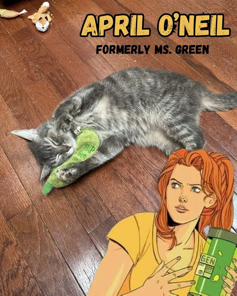 April O'Neil thumbnail 2