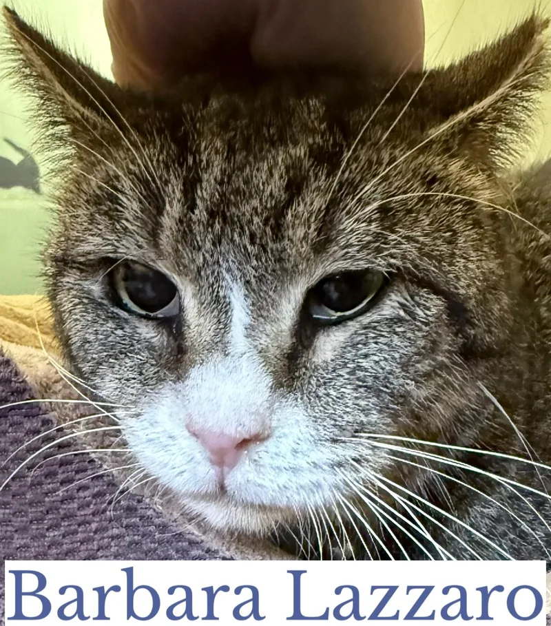 Barbara Lazarro thumbnail 2