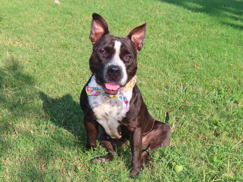 Michelle  C thumbnail 2