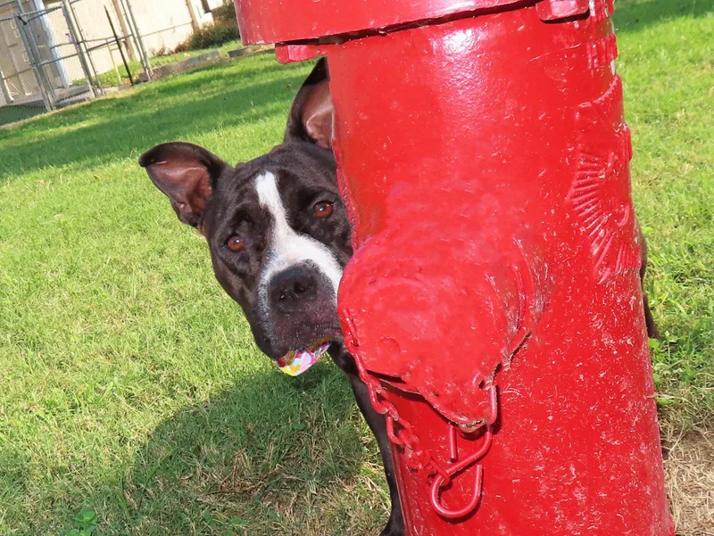 Michelle  C thumbnail 4