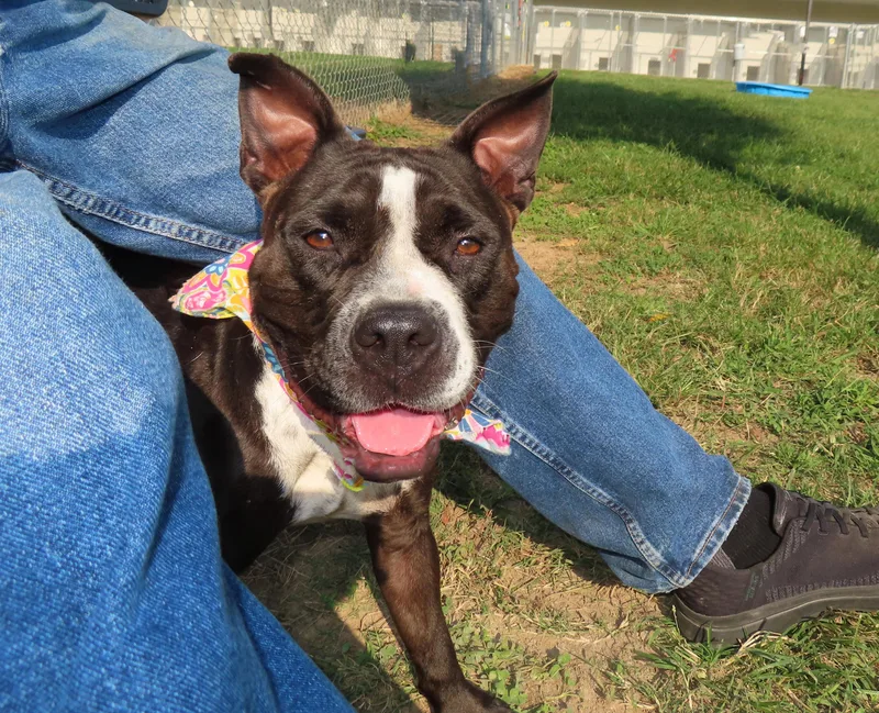 Michelle  C thumbnail 5