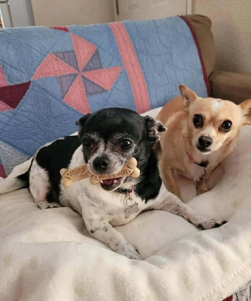 Molly & Vivian thumbnail 2