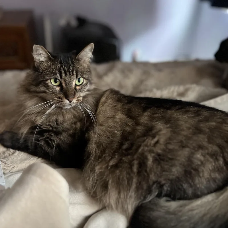 Mama Tabitha thumbnail 2