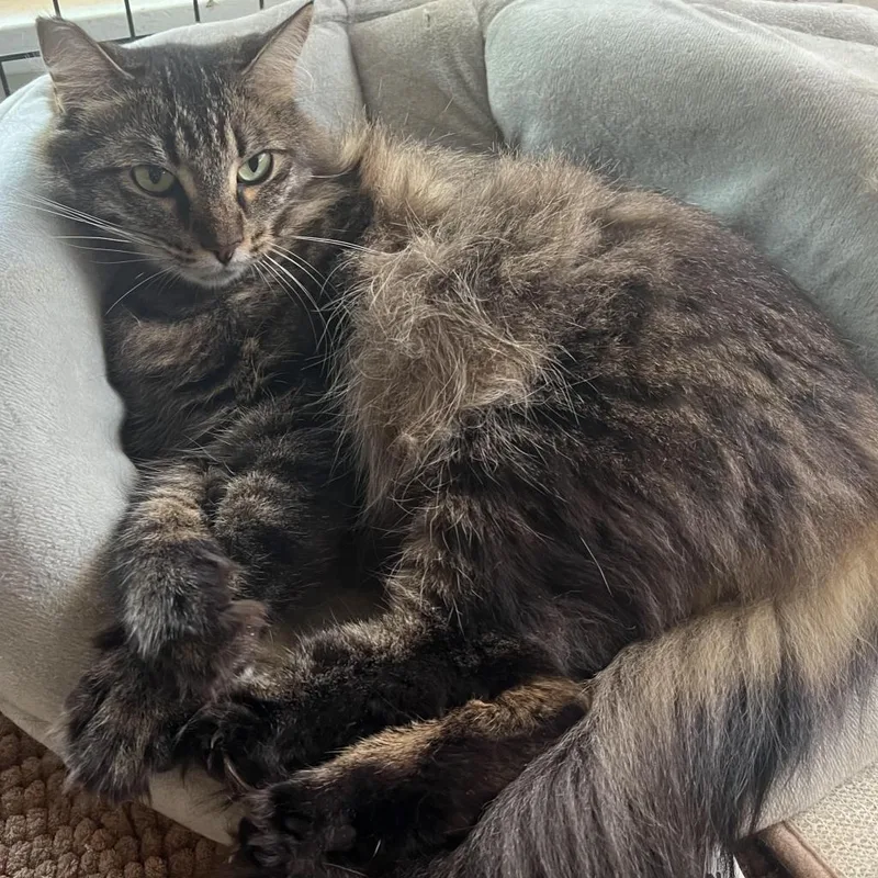 Mama Tabitha thumbnail 3