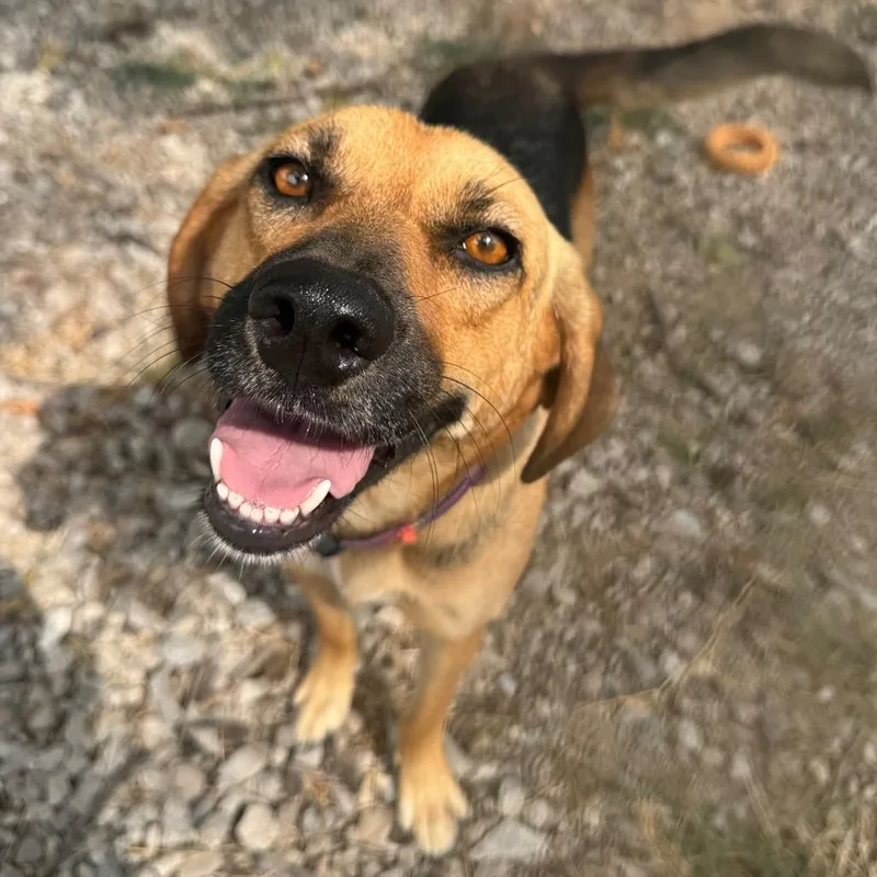 Fiona