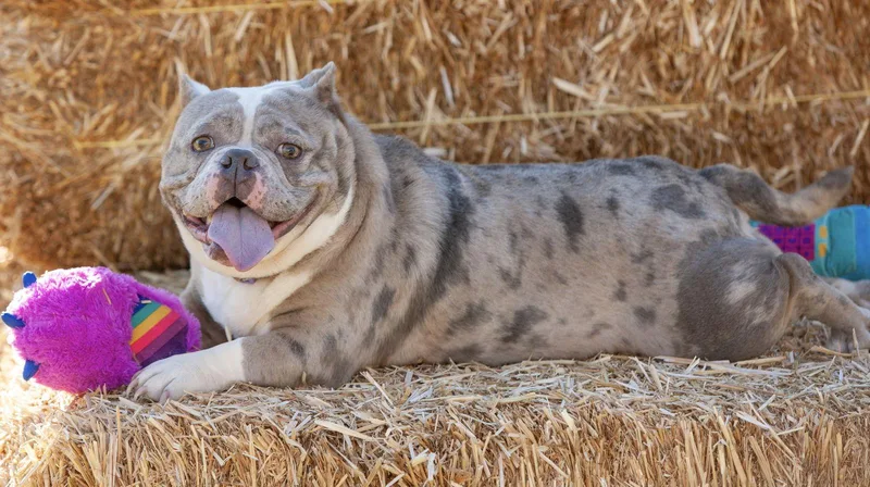 Macy Mae thumbnail 2