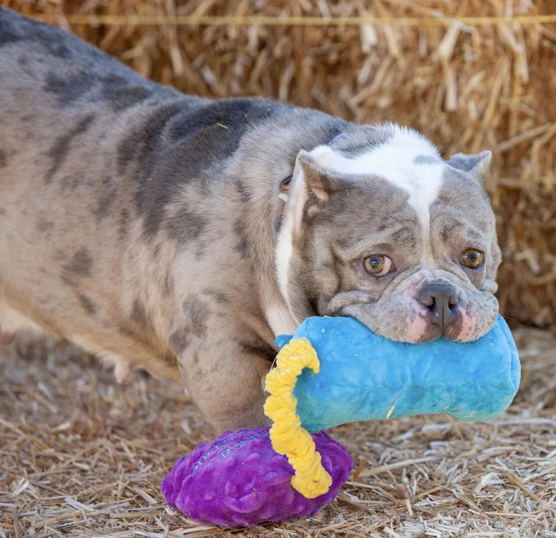 Macy Mae thumbnail 3