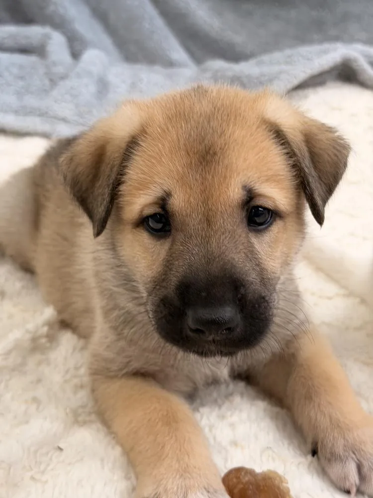 Sprinter thumbnail 2