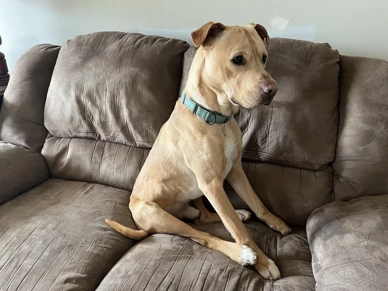 Marley Mo thumbnail 2