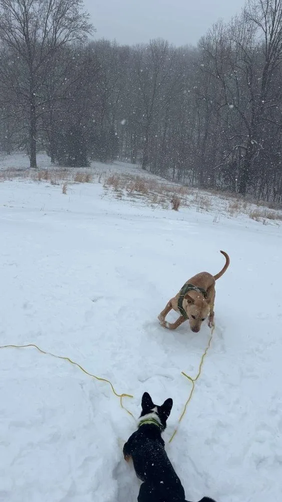 Marley Mo thumbnail 3