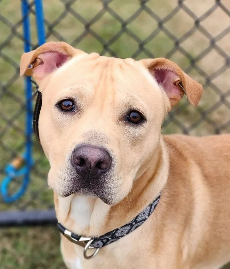 Marley Mo thumbnail 4