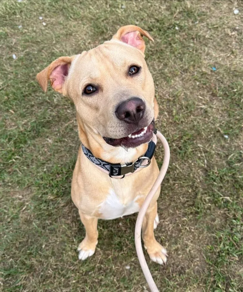 Marley Mo thumbnail 6