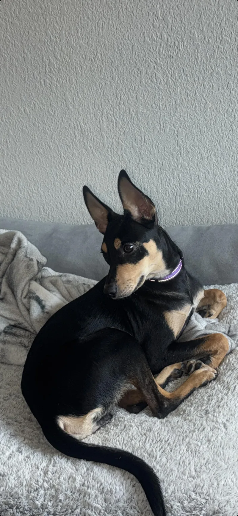 Max