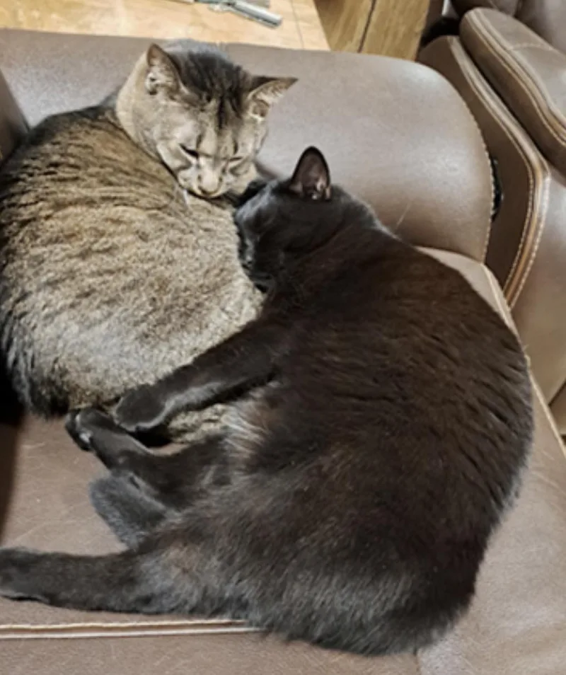 Danny And Lilbit thumbnail 2