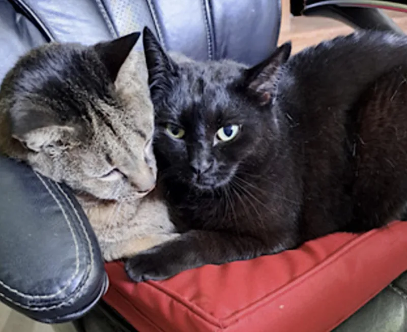 Danny And Lilbit thumbnail 3