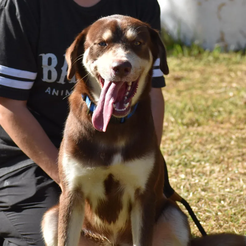 Leo Messi thumbnail 2