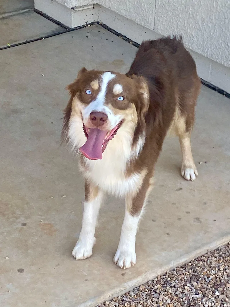 Corbin . year