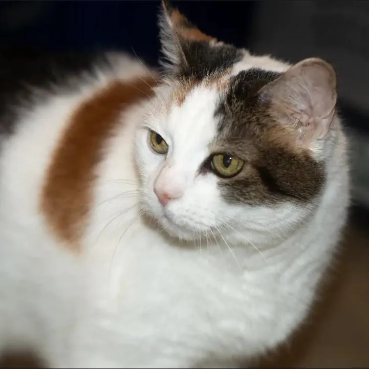 Winifred thumbnail 2