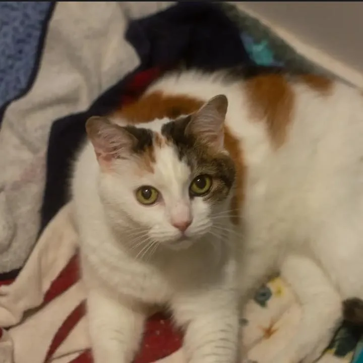Winifred thumbnail 5