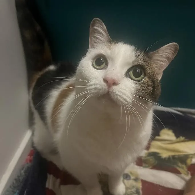 Winifred thumbnail 6