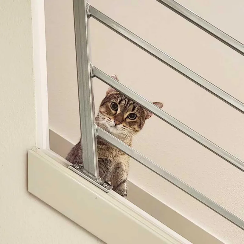 Lady Shasha thumbnail 5