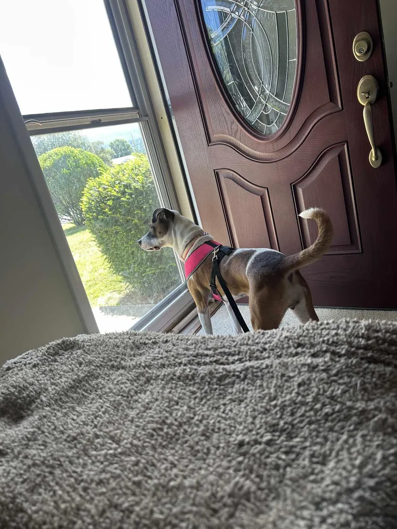 Mona Lisa thumbnail 3