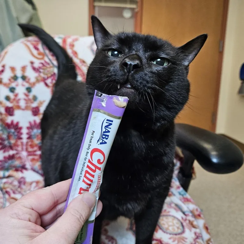 Midnight$ thumbnail 4