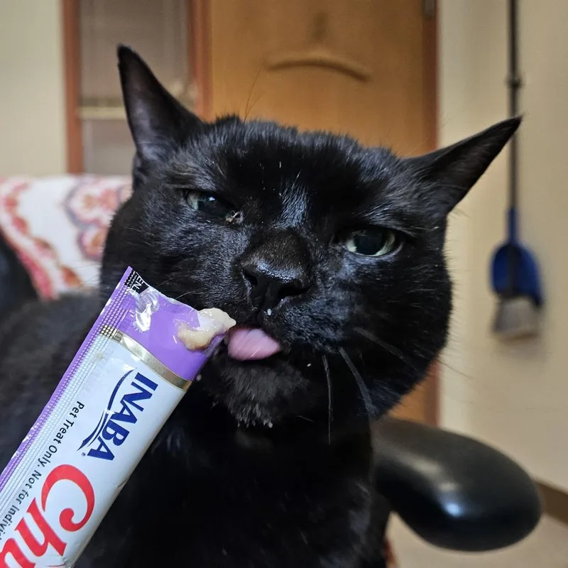 Midnight$ thumbnail 6