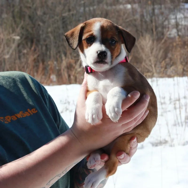 Ct Blizzard Avail Mar thumbnail 2