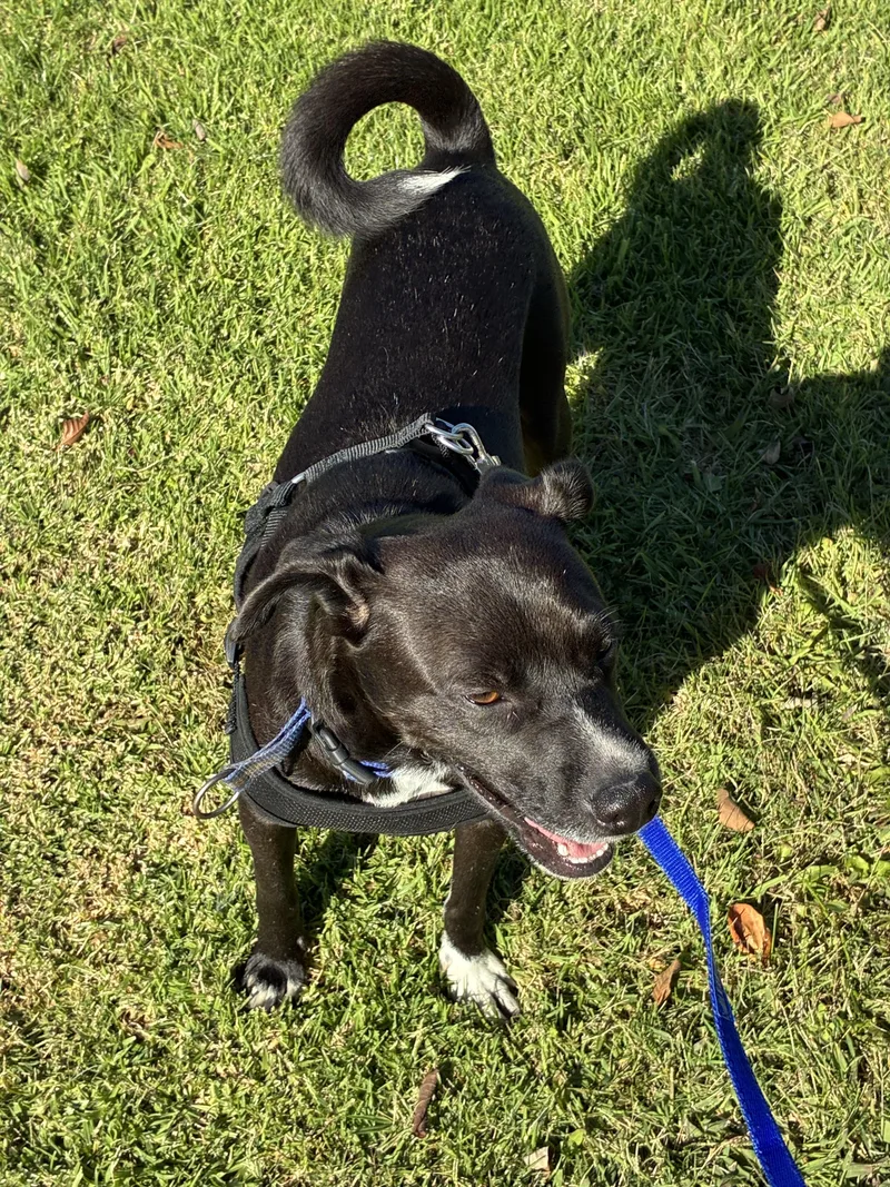 Vailarin thumbnail 2