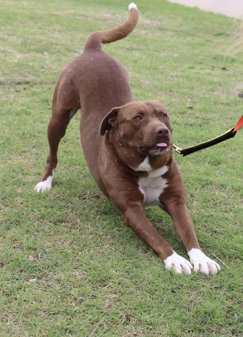 Logan thumbnail 2