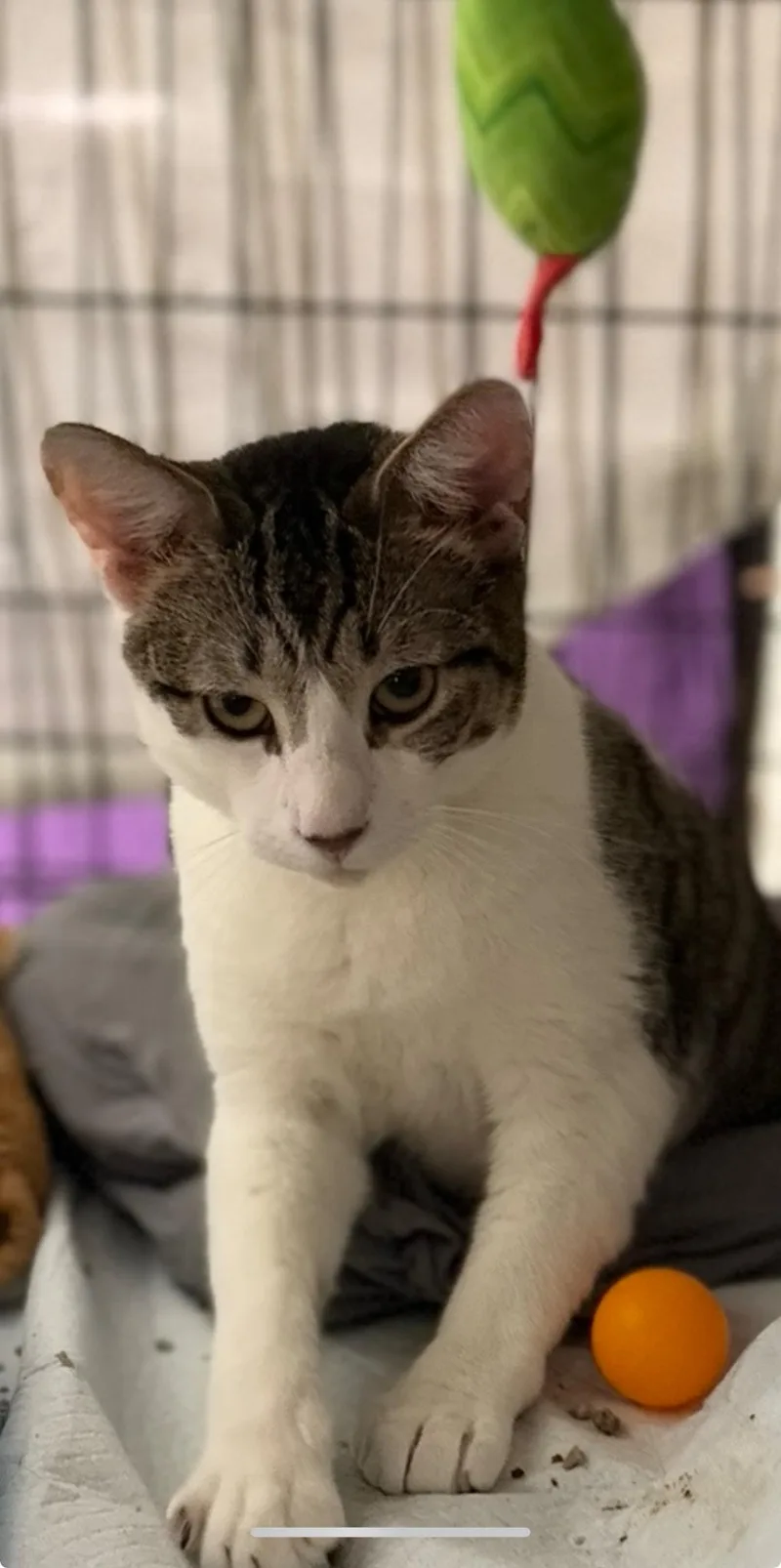 Pixel N.  The thumbnail 3