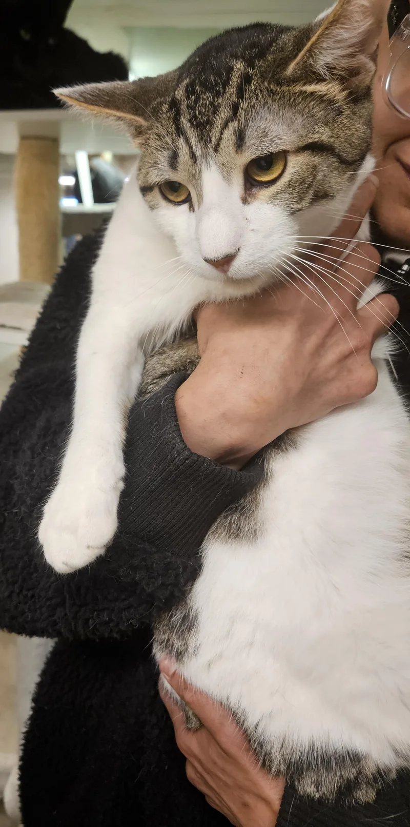 Pixel N.  The thumbnail 4