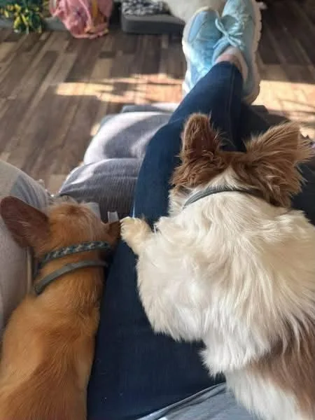 Mindy & Abby thumbnail 3