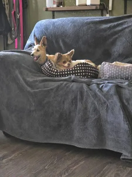 Mindy & Abby thumbnail 5