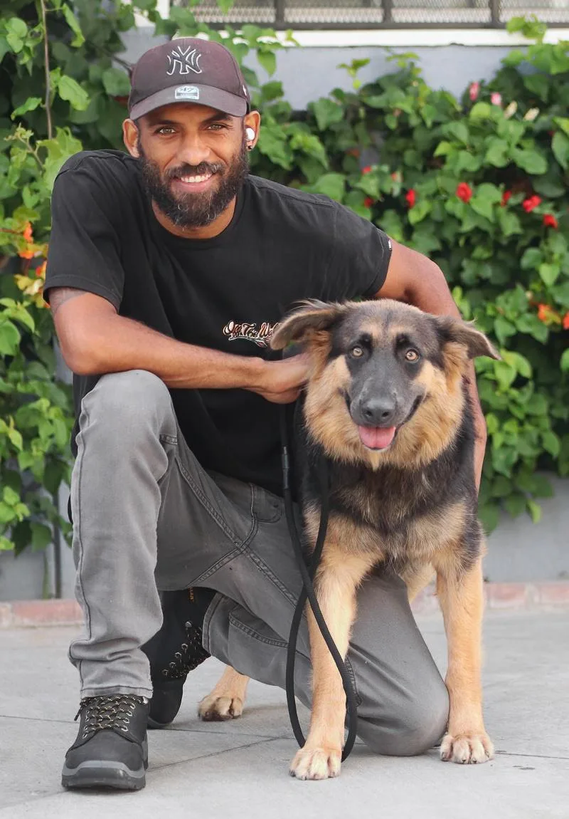 A young large-sized female Black German Shepherd Dog dog named Tessa von Tensfeld for adoption in Los Angeles, CA