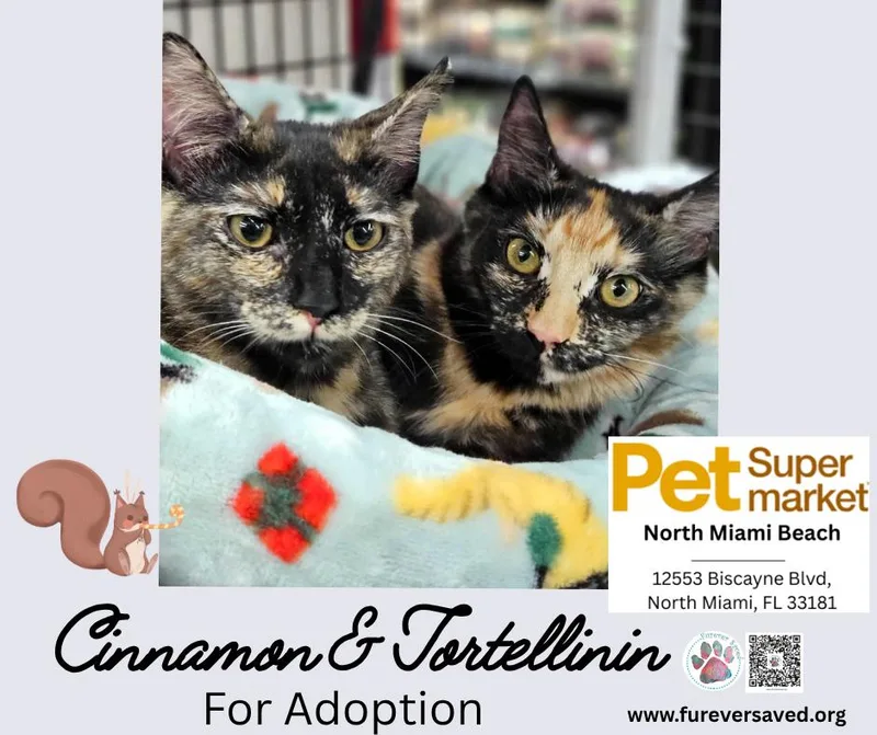 Cinnamon thumbnail 2