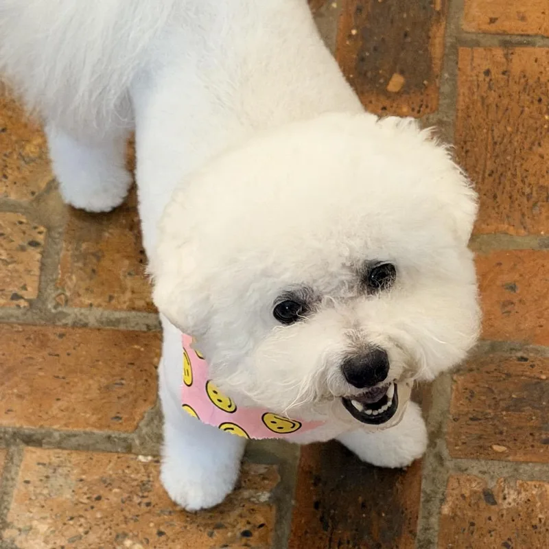 Dolly June thumbnail 5