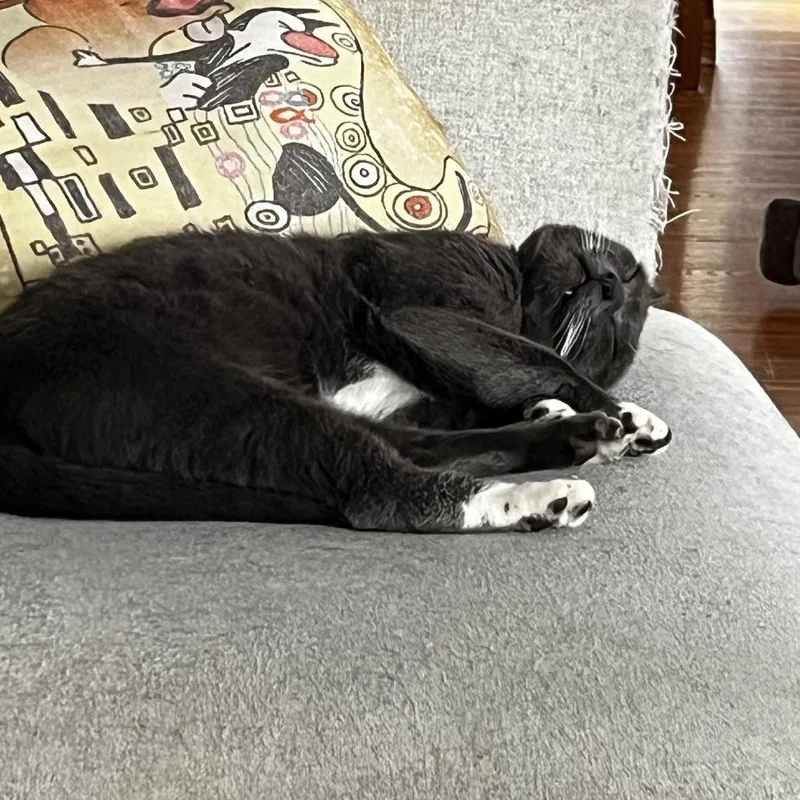 Pistachio thumbnail 6