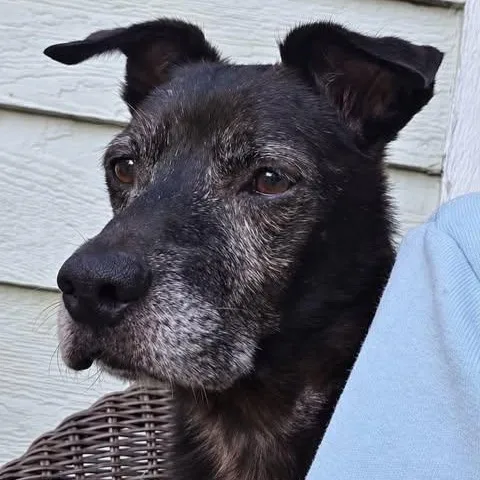 Larry thumbnail 4