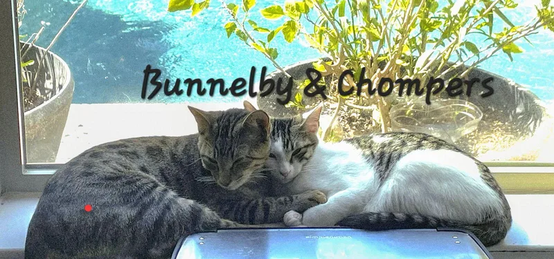 Bunnelby Gentlewallflower thumbnail 2