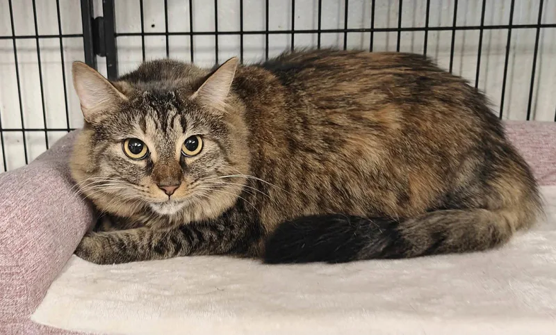 Winifred thumbnail 2